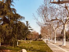 -南京航空航天大学(将军路校区)