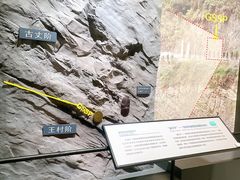 -湖南省地质博物馆