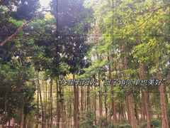 -广州市帽峰山景区