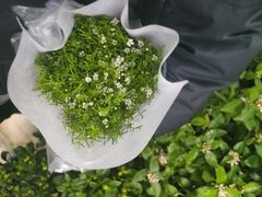 -曼哈顿商业广场(升龙广场店)