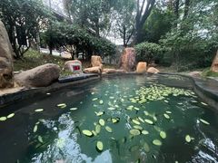 -万象温泉景区