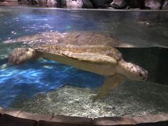 -多彩贵州城极地海洋世界