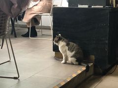 -UNI UNI(环亚凯瑟琳店)