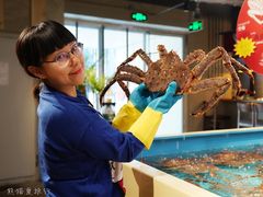 -日进一片海.生腌海鲜火锅.宵夜烧烤(三里屯总店)