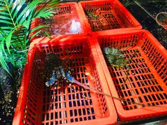 -79号渔船海鲜饭店(华强北店)