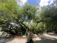 -宗角禄康公园