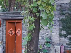-春风习习