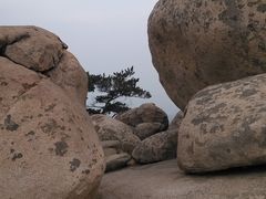 -崂山仰口游览区