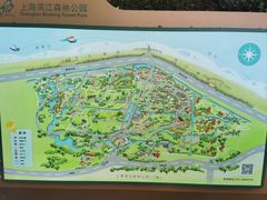 -上海滨江森林公园