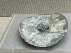 -合浦汉代文化博物馆