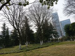 -后襄河公园