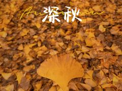 -渭河城市绿地运动公园