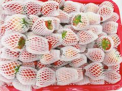 -菜园坝水果市场