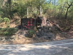 -大雁山风景区
