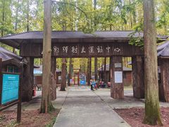 -东平国家森林公园