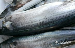 象山港川乌烧咸菜