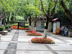 -重庆彩云湖湿地公园