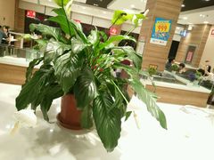 -嘉和一品粥(首经贸店)