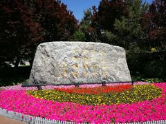 -北京国家会计学院