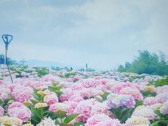 -呈贡滇池生态湿地公园