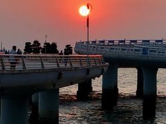 -演武大桥观景平台