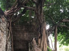 -磁器口古镇