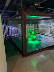 -幻贝家儿童乐园(武汉永旺梦乐城店)