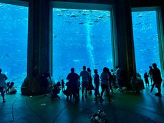 -亚特兰蒂斯•OSSIANO奥西亚诺海底餐厅