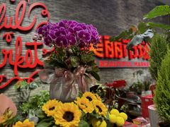 -豆豆花艺(新光天地店)