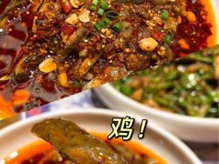 -铁公鸡·四川料理(天环广场店)