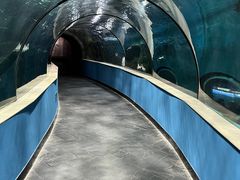 -苏州海洋馆