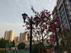 -上海市工商外国语学校