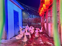 -鱼窝棚柴火铁锅炖(富山屯店)