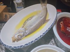鸡汁白鱼-南京大牌档(中关村领展广场店)