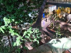 -湖南省地质博物馆