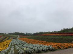 -富田农场