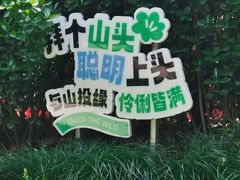 -午潮山国家森林公园
