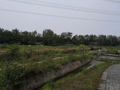 -桤木河湿地公园