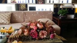 -脉道美容养生会所