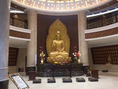 -呼兰河口湿地公园