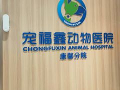 -宠福鑫康馨动物医院·骨科·眼科