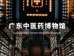 -广东中医药博物馆