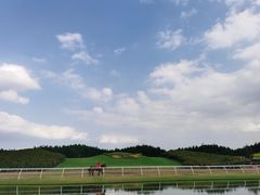 -迪茵湖田家舍生态农场