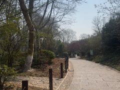 -习家池