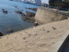 -绿岛汤泉韩式休闲会所