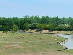 -溱湖国家湿地公园