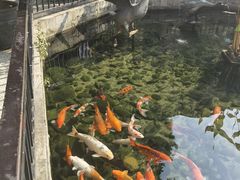 -鹅公村·国家非遗传承(荔湾店)