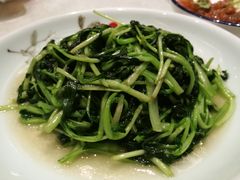清炒鸡毛菜-怡和春天大酒楼(柳芳店)
