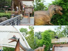 -海合安武汉极地海洋公园