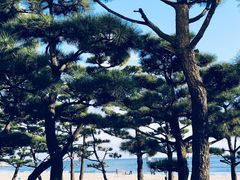 -海云台海滩